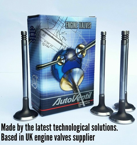 Inlet intake valves - intake, to