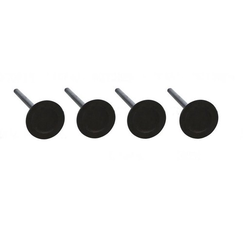 Intake valve kit - intake,